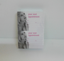 APPOINTMENT CARDS PK200