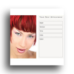 AG APPOINTMENT CARDS AP12
